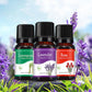 10ML Natural Aromatherapy Essential Oil