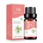 10ML Natural Aromatherapy Essential Oil