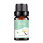 10ML Natural Aromatherapy Essential Oil