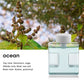 Portable Ultrasonic Aromatherapy Diffuser
