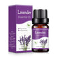 10ML Natural Aromatherapy Essential Oil