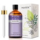 PHATOIL 100ml Essential Oil – Natural Plant Aromatherapy Fragrance
